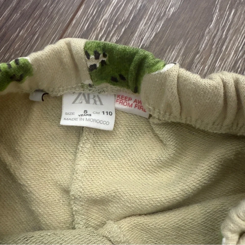 Zara Kids Set with Dinosaur Print Size 5